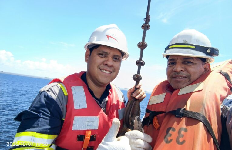 0-6528x4896-2-0-{}-0-12#